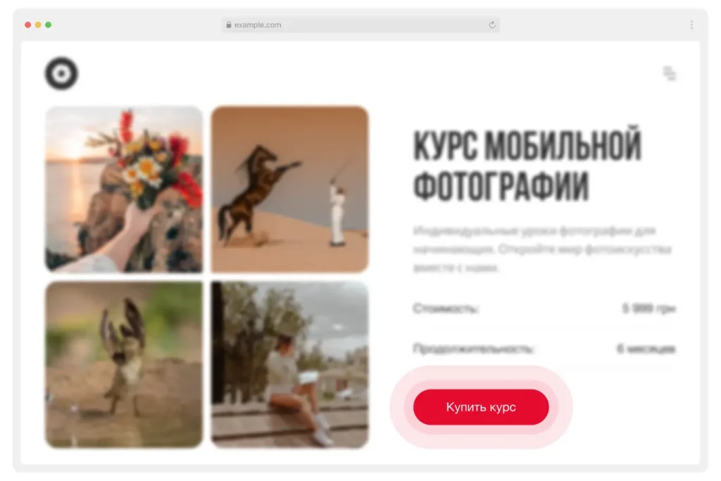 platezhnaya-knopka-oplaty-dlya-frilanserov-i-samozanyatyh